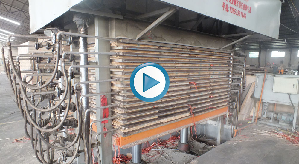 Hot Press Secador Video Imagen