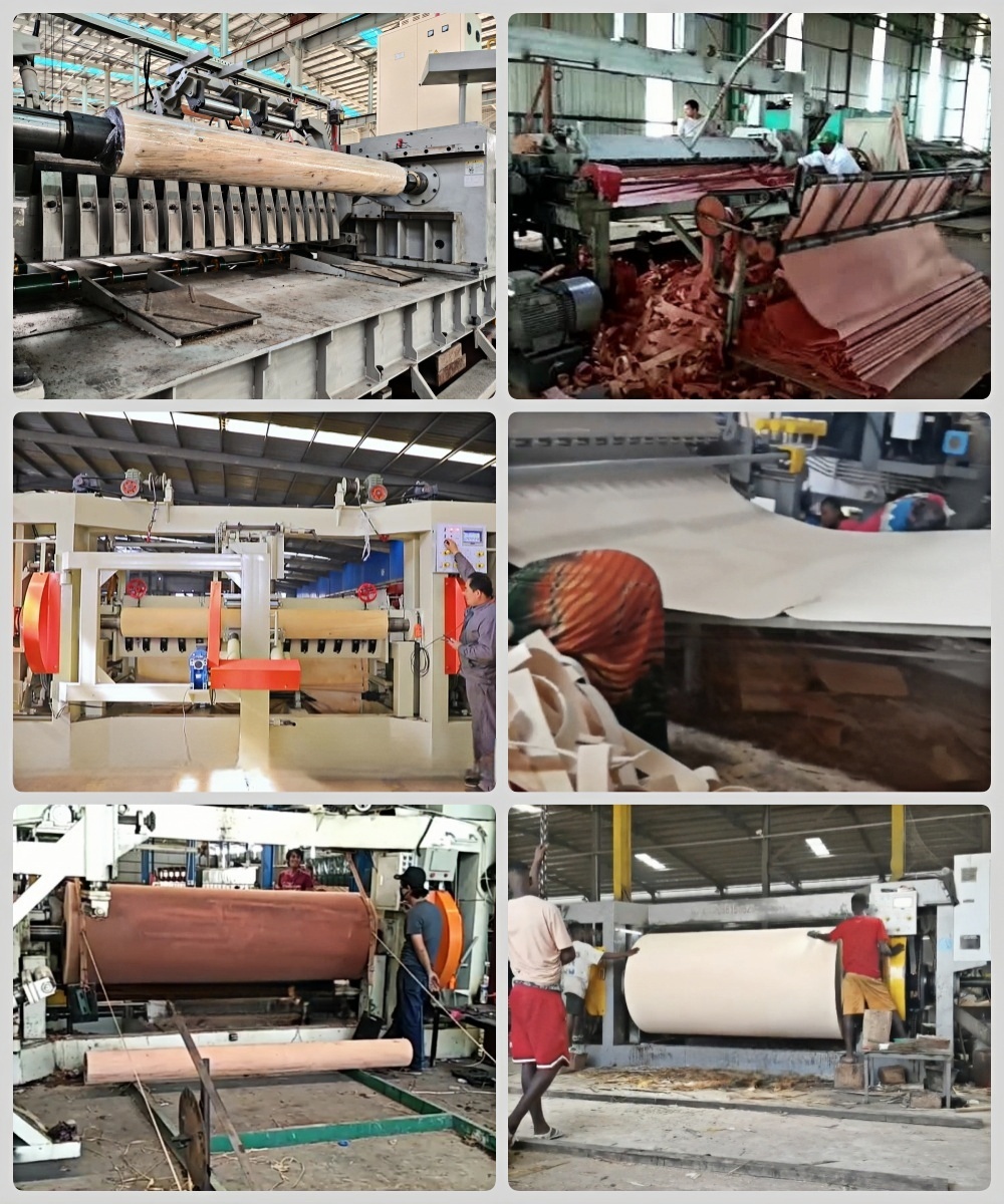 máquina de pelado de husillo 19