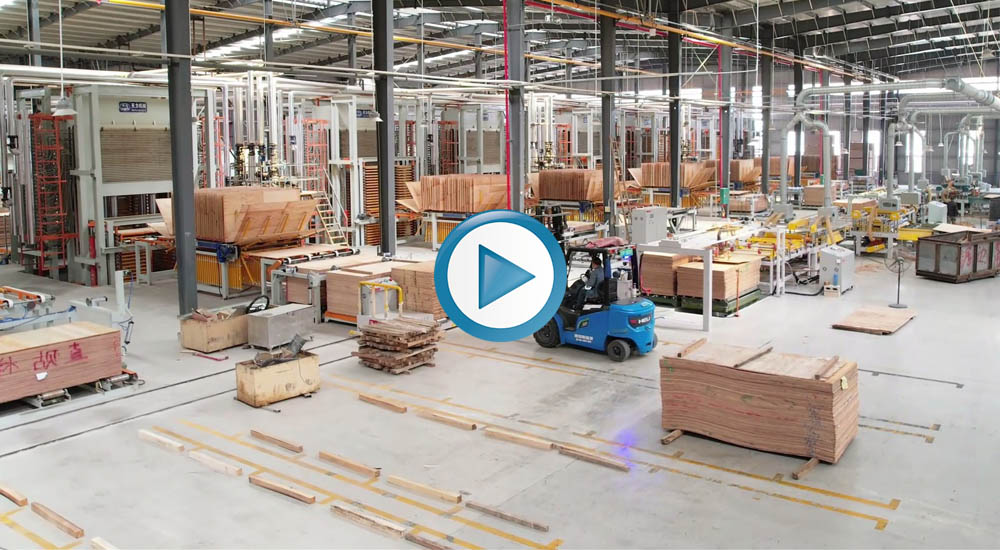 Presione Machine Working Video 2