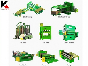 Sistemas de fabricación de paneles de madera automatizados de la línea de fabricación de madera contrachapada