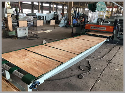 Detalles Modelo-Vener Transpadyor 2