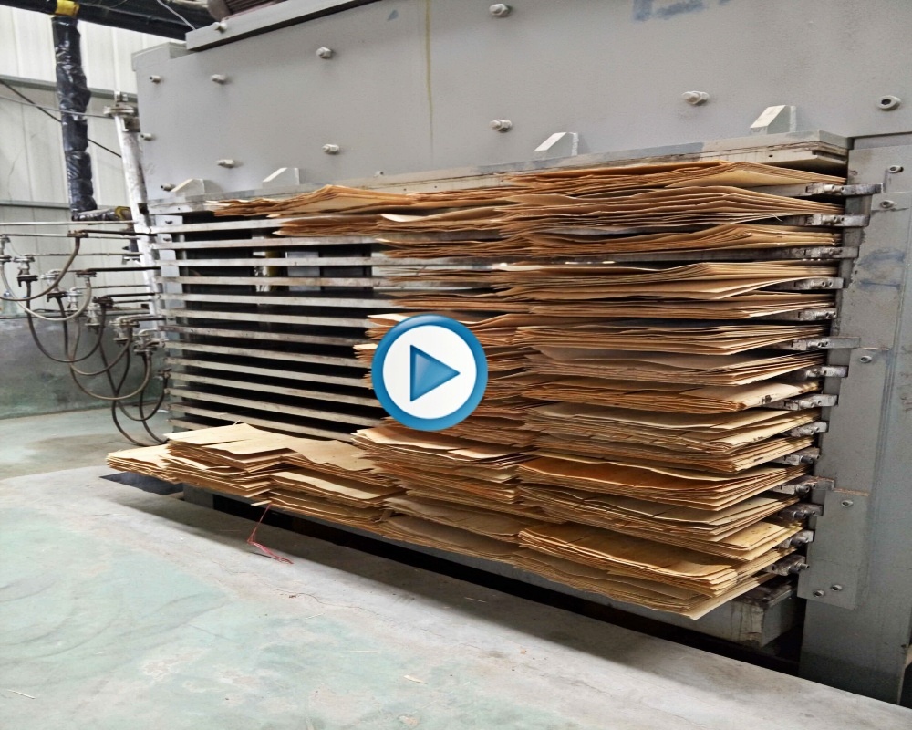Veneerdryer 44