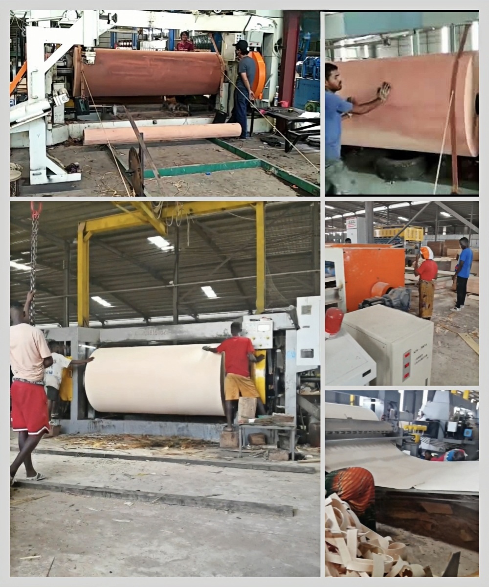 máquina de pelado de husillo funcionando 2