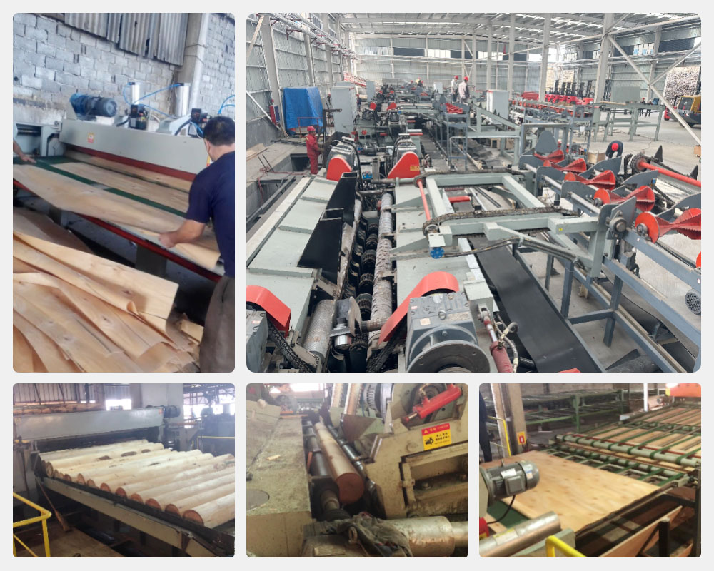 IMAGEN DE TRABAJO